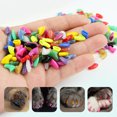 thumbnail image 2 of 20 Pcs/ensemble Couvre-Griffes pour Animaux, Ongles en Résine, Capuchon de Protection en Résine, Couvre-Griffes pour Manucure avec Colle, Fournitures pour Animaux, Cristal Or, TP, 2 of 7