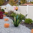 thumbnail image 4 of RXIRUCGD Artisanat en Fer Tequila Plante Jardin Ornement de Jardin, 4 of 4