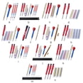 thumbnail image 3 of Transemion 12Pcs Carpenter Mark Pencil Refill Replacement Mechanical Pencils Refill Type 0, 3 of 6