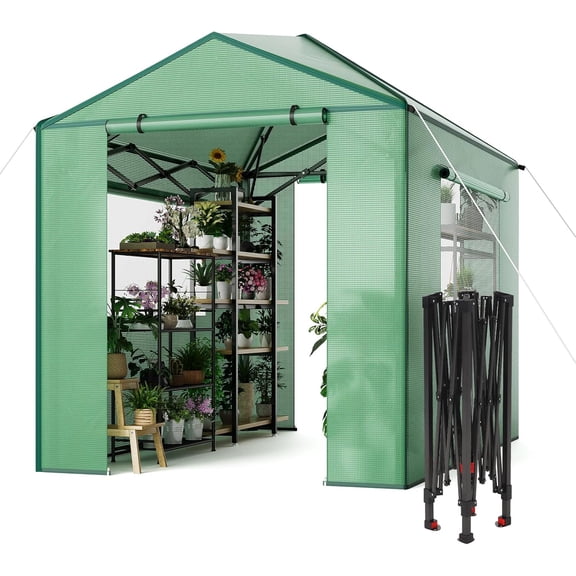 Garvee Pop up Walk-in Greenhouse, 8'x6', for Garden Patio Backyard, Green