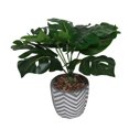 thumbnail image 1 of Lerman Decor's potted plant, 1 of 4