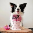 thumbnail image 3 of VONKY Happy Birthday Dog Pet Cake Plaque, 3 of 9