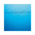 thumbnail image 1 of CARIBOU SUDDENLY COMPACT DISCS, 1 of 4