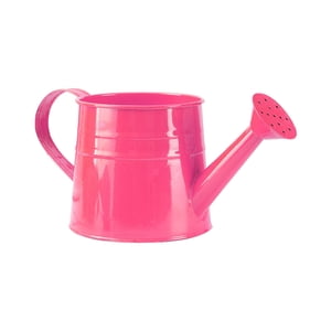 Modern Metal Watering Can for Efficient Indoor and Outdoor Care with Ergonomic Handle and Removable Spout