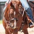 thumbnail image 4 of Martin Saddlery Rawhide Laced Chocolate Single Ear Headstall Chocolate, 4 of 4