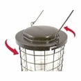 thumbnail image 4 of Perky-Pet Squirrel Stumper Wild Bird Feeder, 4 of 8
