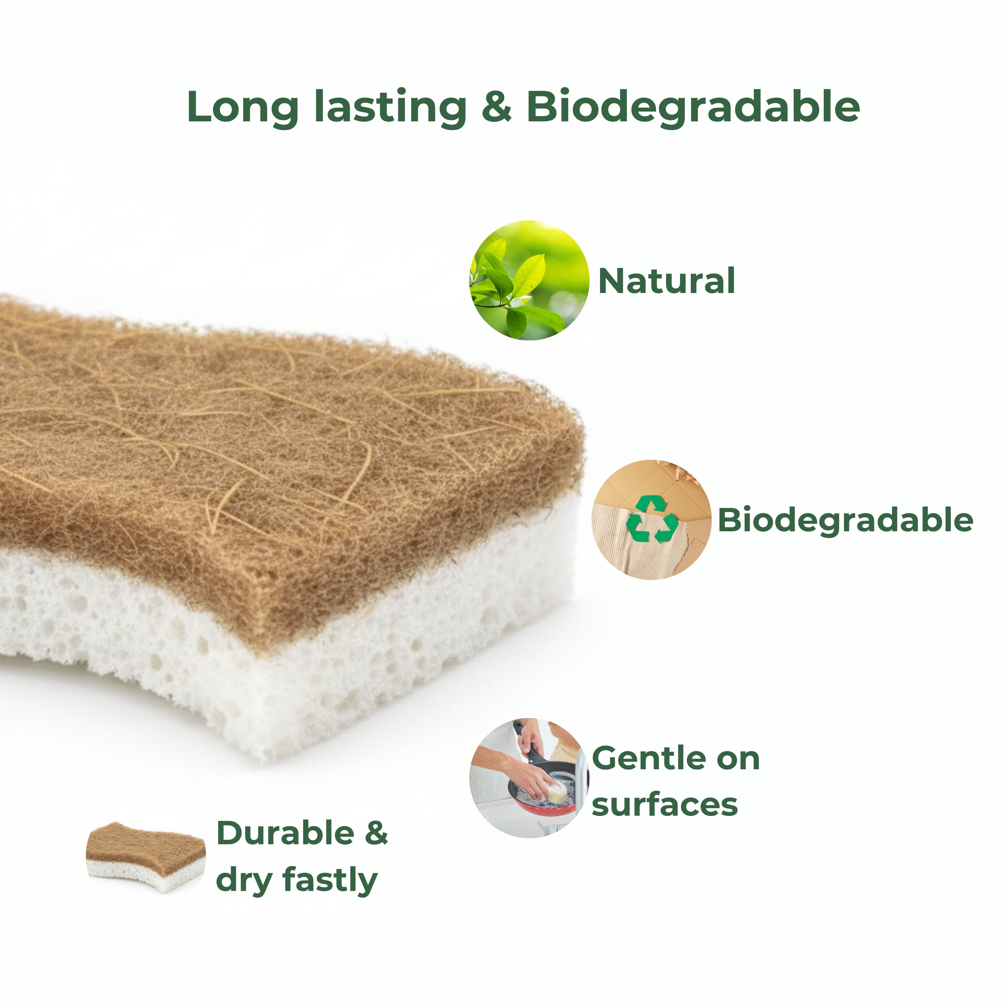 Natural Cellulose Cleaning Sponges – 10 Pack Curved Grip, Plastic-Free Dish Sponges