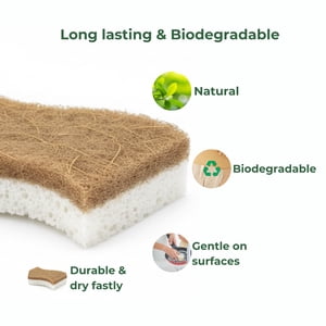 Natural Cellulose Cleaning Sponges – 10 Pack Curved Grip, Plastic-Free Dish Sponges