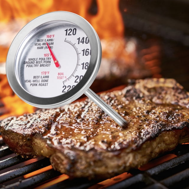 Dvkptbk Thermometer Roasting Meat T731 Oven Safe Large 2.5-Inch Easy-Read Face Home & Garden