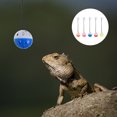 thumbnail image 2 of 6Pcs Reptile Toy Bell Balls Lizard Bell Balls Bearded Dragons Toys with Suction Cup and Rope (Mixed Style), 2 of 8