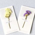 thumbnail image 5 of CIMAXIC 10pcs Birthday Party Greeting Cards Dried Flower Gift Parrty Wish, 5 of 5