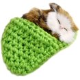 thumbnail image 1 of Sleeping Cat Toy Small Cat Stuffed Animal Plush Toy Kitten(Cat in Random Color)Green, 1 of 6