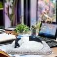 thumbnail image 1 of Savings Oefntac Room Decor Simulation Kitty Car Activated Carbon Ornaments Cute Kitty Shape That Can Meow Deodorizing and Decorating The Car Activated Carbon Material Interesting, 1 of 6
