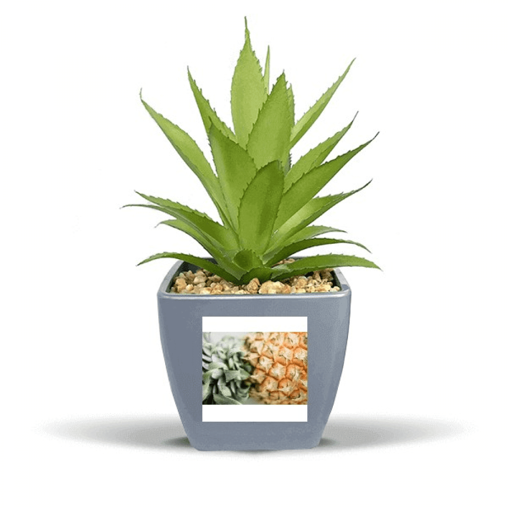 Fruits Tropicaux Frais Ananas Image Faux Pot de Fleurs Ananas Vase Mini Déco