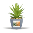 thumbnail image 1 of Fruits Tropicaux Frais Ananas Image Faux Pot de Fleurs Ananas Vase Mini Déco, 1 of 3