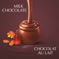 thumbnail image 2 of Lindor Sachet Érable 150g, 2 of 8