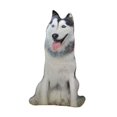 thumbnail image 2 of DOLITY Animals Dog Pattern Pillow Cushion Stuffed Toy 90cm Stylish for Kids Husky, 2 of 9