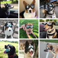 thumbnail image 4 of Pet Dog Sunglasses Anti-Fog Uv Resistant Waterproof Goggles With Adjustable Strap, 4 of 6