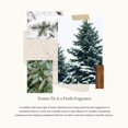 thumbnail image 3 of Thymes Frasier Fir Gold 3 Wick Candle 17oz, 3 of 5