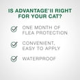 thumbnail image 2 of Advantage II Flea Treatment for Large Cats (4 doses), 2 of 7
