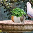 thumbnail image 3 of Shisuyan Ceramic Jar Water Fountain Fish Pond Decorative Waterfall Ceramic Jar Fish Tank Water Dispenser, 3 of 8