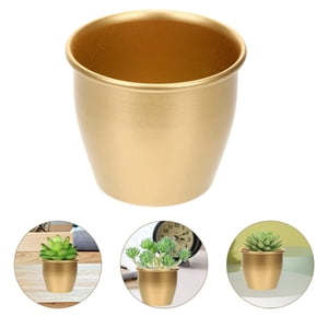 SUTENGDA Planter des plantes Planter métallique Style moderne Pot de fleurs Planters intérieurs Succulents Planter Conteneur