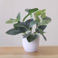 thumbnail image 3 of 2 Pcs Fresh Artificial Foliage Plant Potted Bonsai Wedding Party Mall Desktop Decor(Type 1), 3 of 9