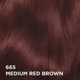 thumbnail image 2 of L'Oréal Paris Superior Préférence, Coloration Permanente, 665 Châtain Moyen Rouge, 1 kit, 2 of 9