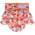 thumbnail image 1 of Washable Dog Diapers, Highly Absorbent Dog Diapers for Female Dogs, Dog Dresses for Dogs in Heat, Period, Incontinence, or Excitable Urination (Large, squirrel, 1 of 9