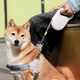 thumbnail image 5 of XYAIYT 5 Meter Automatic Retractable Dog Leash with Ergonomic Handle for Easy Control and Walking Heavy Duty Stretchable Rope for Small to Large Dogs Pet Supplies, 5 of 5
