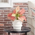 thumbnail image 4 of Better Homes & Gardens 6" Ceramic Bubble Planter Pot-White, 4 of 7