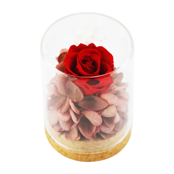 Preserved Real Rose Flower Eternal Rose in Glass Scented Forever Rose Flower Present for Women
