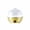 Jaune, variante sur JWshufel Cuiseur Électrique Mini Multifonction en Acier Inoxydable avec Arrêt Automatique et Conception Facile à Nettoyer pour Faire Bouillir jusqu'à 7 Oeufs Appareil de Cuisine Compact