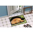 thumbnail image 2 of Caroline's Treasures SS8525MAT Paillasson Intérieur Extérieur Chow Chow 18 x 27 Po, 2 of 4