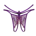 thumbnail image 1 of WTXUE sous-Vêtements / Dentelle Culottes pour Femmes String Culottes pour Dames String / 1 Pce, 1 of 2