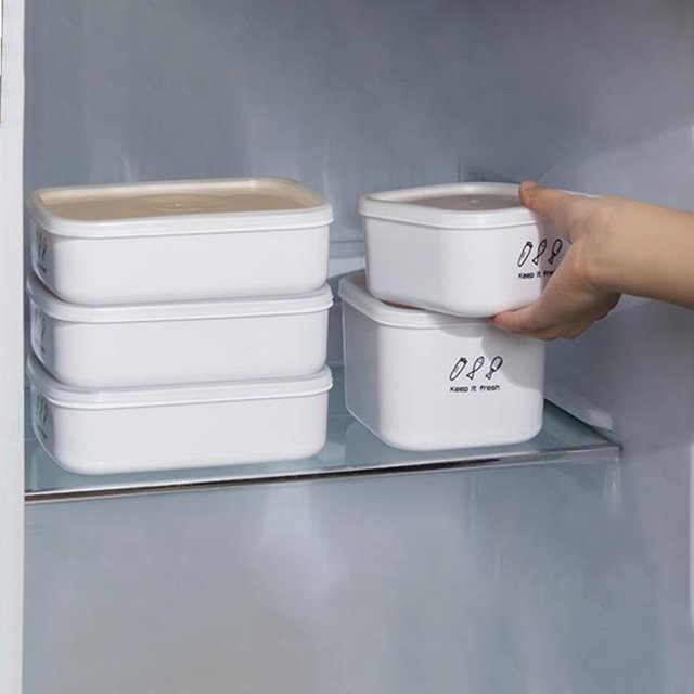 Vaidha Household Refrigerator Plastic Sealed Heated Lunch Box