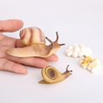 thumbnail image 4 of Cycle de Jouets de Modèle de Figure Animale pour les Enfants Qui Apprennent l'Enseignement, 4 of 7
