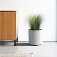 thumbnail image 4 of Veradek Mason Series Demi 16" Planter White, 4 of 9