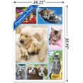 thumbnail image 2 of Keith Kimberlin - Collage de chiots et de chatons, 2 of 4