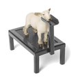 thumbnail image 5 of Little Buster Toys Support d'Ajustement pour Mouton - Noir, 5 of 5