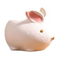 thumbnail image 2 of Birdeem Succulent Flowerpot Personalized Desktop Breathable Animals Shaped Coarse Ceramic Flowerpot, 2 of 9