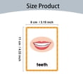 thumbnail image 3 of Jierger Clearance Body Parts Learning Cards | Body Parts Flash Cards for | English Pocket Card 15Pieces Body Parts Flash Card | Vocabulary Words Flashcard Educational Learning Flashcard for Kids, 3 of 9