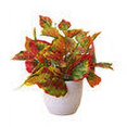 thumbnail image 3 of serony Artificial Potted Plant Leaf Simulation Leaves Home Office Desktop Greenery Decoration, Plant Type 19, 3 of 7