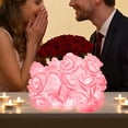 thumbnail image 3 of Cheapark LED Rose Flower String Lights 20 Warm White Lights Valentines Day Decoration USB Powered For Bedroom Party, 3 of 5