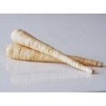 thumbnail image 3 of GSDWIUEW 500+ All American Parsnip Seeds for Planting Heirloom, Sweet & Nutritious Root Vegetable Perfect for Home Gardens, 3 of 4