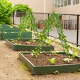 thumbnail image 2 of Costway 2 Pack Rustproof Metal Garden Trellis 71" x 20" Wire Lattice Panel for Patio Green, 2 of 9