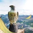 thumbnail image 1 of RKSTN Portable Heater Life-Like, Deters Bird And Such As Pigeons From Garden, 1 of 2
