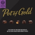 thumbnail image 4 of Pot of Gold Coffret-Cadeau Collection de Chocolats Noirs, 245G, 4 of 9