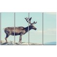 thumbnail image 2 of Grand Renne en Norvège - Impression d'Art Abstrait sur Toile, 2 of 3