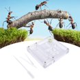 thumbnail image 2 of Breeding Box,  Breeding , Ornamental School Garden For Pet Household For, 2 of 8